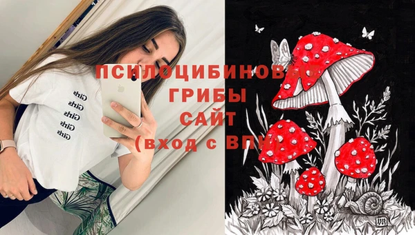 эйфоретик Пересвет