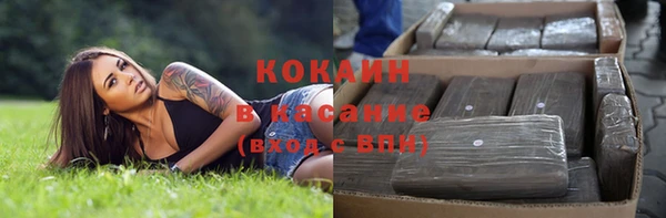 индика Армянск