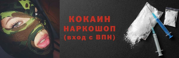 индика Армянск
