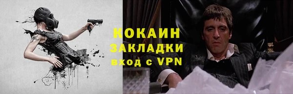индика Армянск