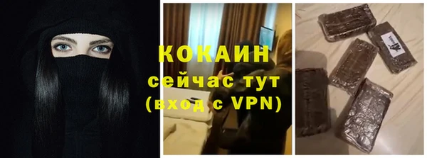 индика Армянск