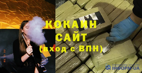 индика Армянск