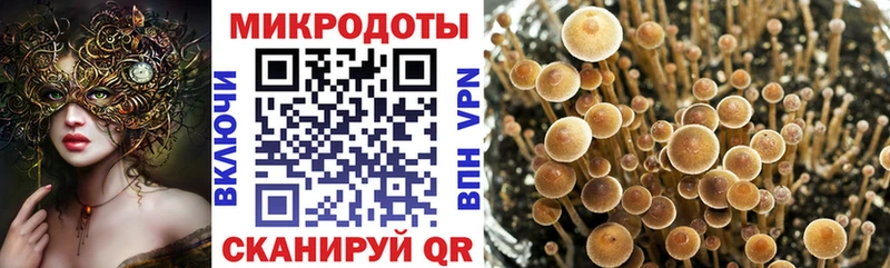 Галлюциногенные грибы Psilocybe  даркнет сайт  Саки 